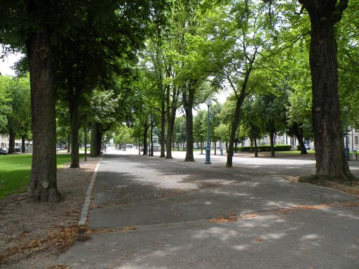  Cours Léopold
